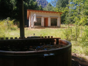 Cabañas palguin 4.5
